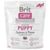 Brit Care Dog Grain-free Puppy Salmon & Potato 1kg