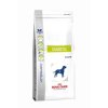 royal canin vd canine diabetic 12kg