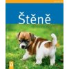 stene