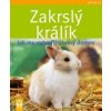 zakrsly kralik