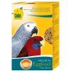 cede eggfood large parakeet and parrot 1617962568572 10