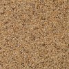 Deli Nature 84-APV Gould