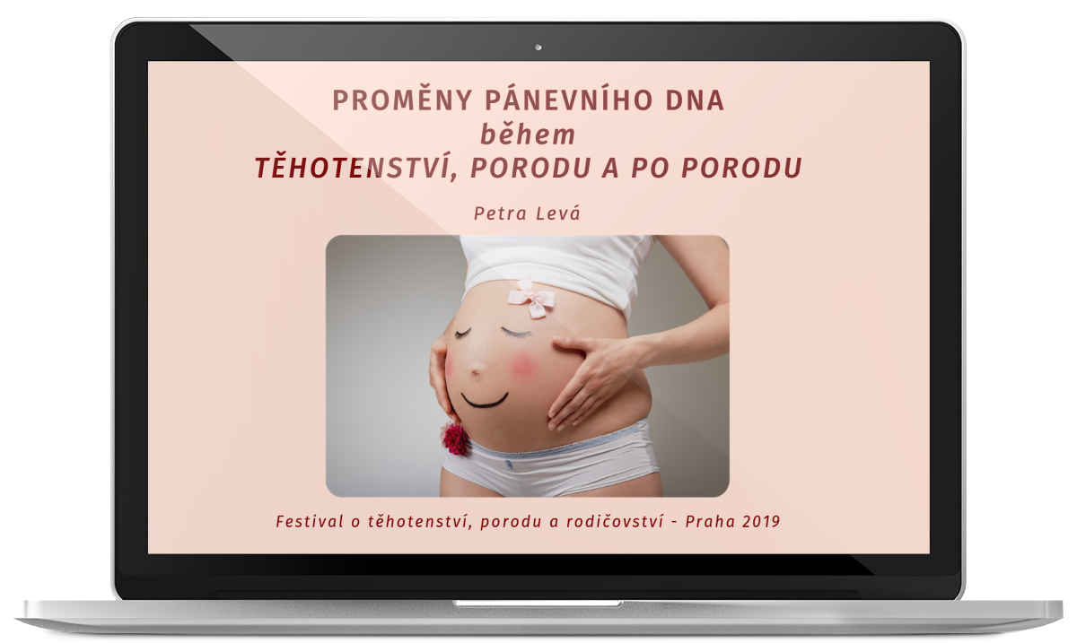 Prednaska