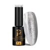 Favorit Glitter Shine č.546 5g stříbrná
