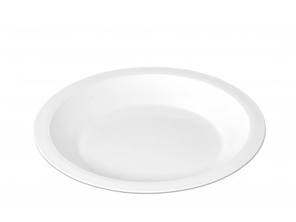 Shallow plastic plate with rim diameter 24 cm