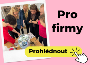 Pro firmy