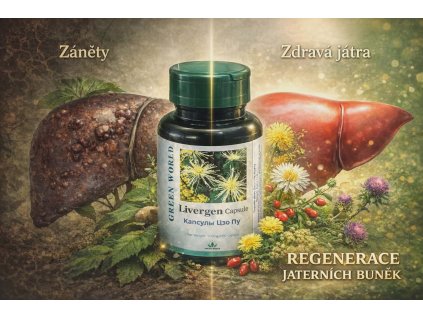 7b0f48ed fc0c 4b38 92d9 4515d979ece6 (1)