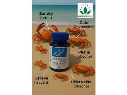 d5d85f7a d08a 402d b4f9 0dd4a05e1f19