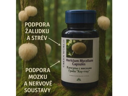 6c20a223 0a6b 40ce a4ac a69de3394cef