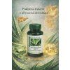 ALOE PLUS - antibakteriální, protizánětlivá