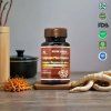 CORDYCEPS - plíce, imunita, vitalita, přírodní antibiotikum