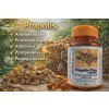FEN CZJAO propolis - antibakteriální, protizánětlivý