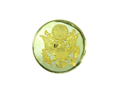 Odznak ST 16863100 USArmy zlatý