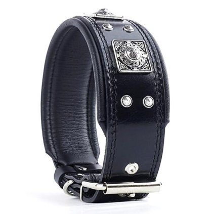 eros all black dog collar web 1 1208