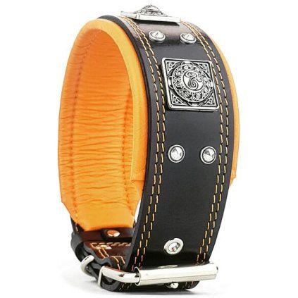 eros black and orange web 1212