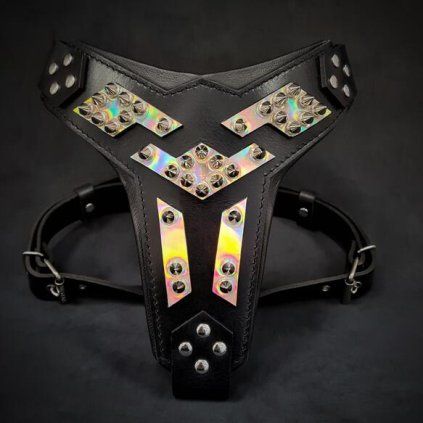 Midas%20Harness