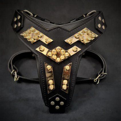 Midas%20Harness%20Gold