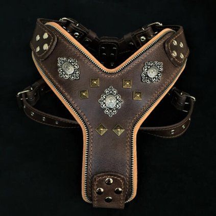 Aztec%20brown%20harness