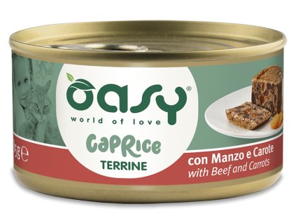 Oasy Caprice TERRINE with Beef and Carrots