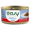 Oasy Caprice CUTS in gravy with Beef