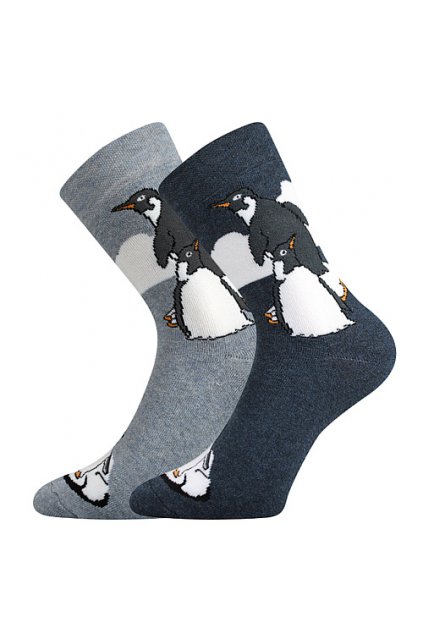 ponožky Bedřich - mix (Velikost 39-42 (26-28), 2 pár)