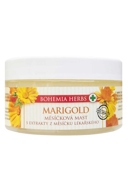 BC002328 mesickova mast