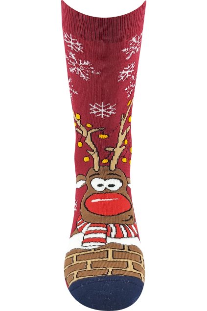 ponožky Rudy I - vínová (Velikost 27-34 (18-22,5), 1 pár)