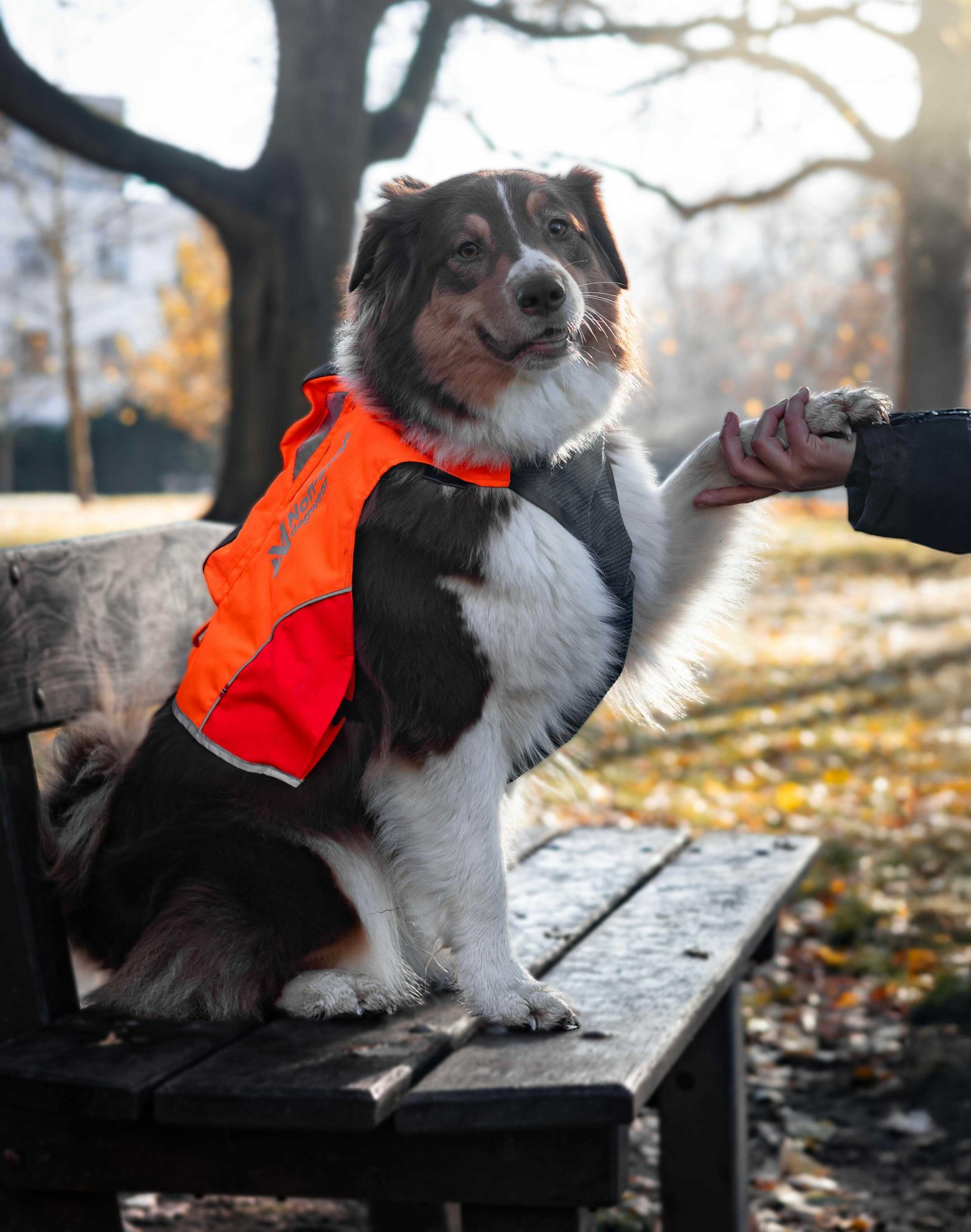 DOGWEAR PROTECTOR - NONSTOP VESTA PRO MAXIMÁLNÍ BEZPEČÍ VAŠEHO PSA