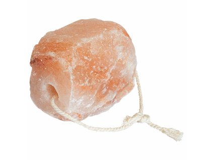 8721158723505 wbg an en px16 1