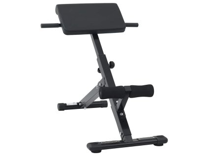 Hyperextension lavice Černá 101 x 70 x 71 cm