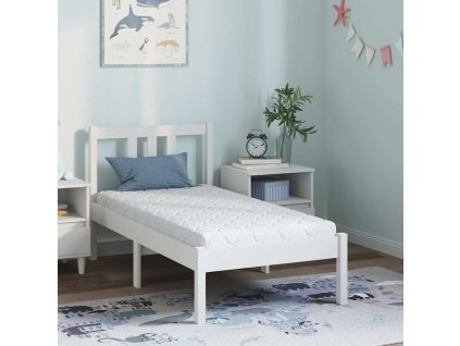 Matrace s kokosovou vrstvou Bílá 120 x 60 cm PU pěna