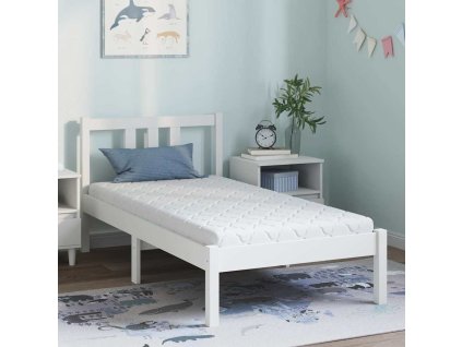 Matrace s kokosovou vrstvou Bílá 160 x 80 cm PU pěna