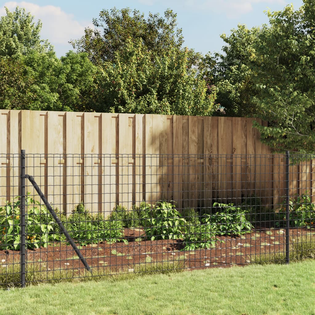 Drátěný plot s kotevními hroty antracitový 0,8 x 10 m