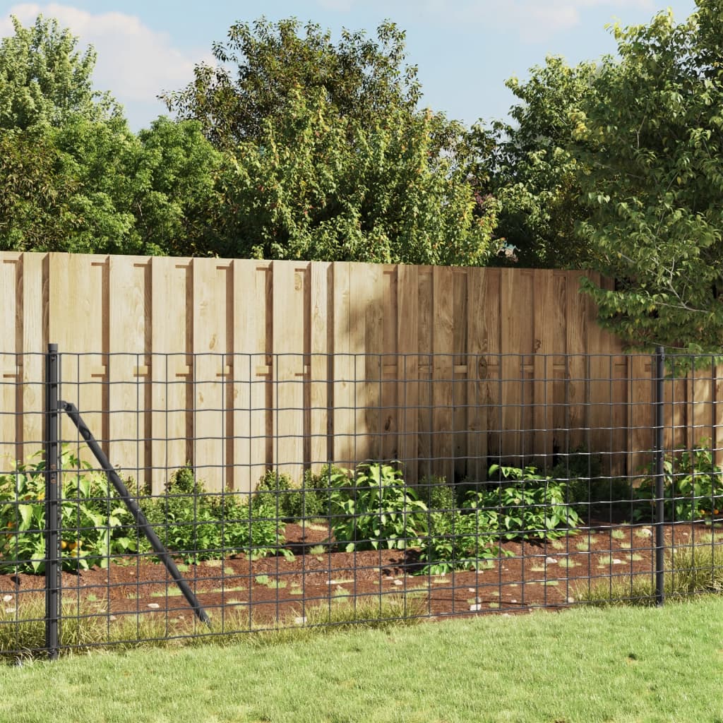 Drátěný plot s kotevními hroty antracitový 0,8 x 10 m