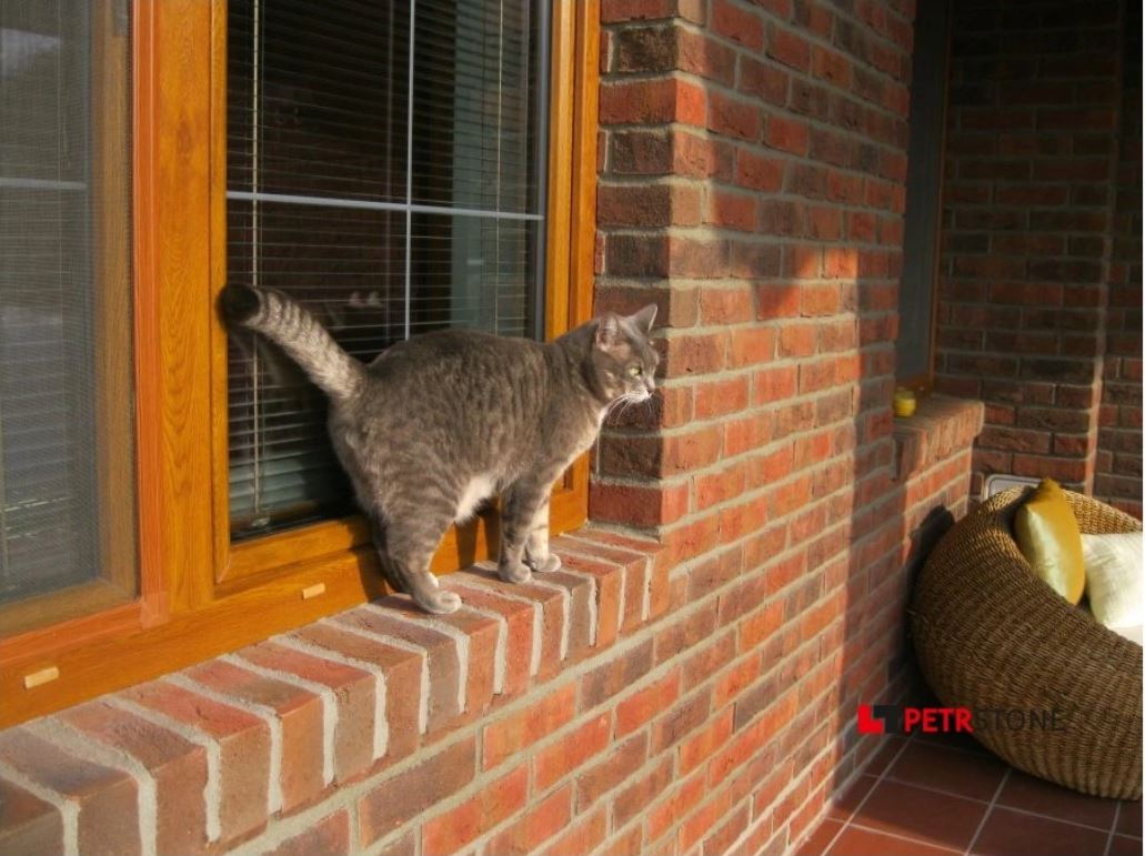 Cihlový obklad na fasádu: Tradiční vzhled a moderní ochrana