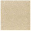 crema eda 60x60 1 1