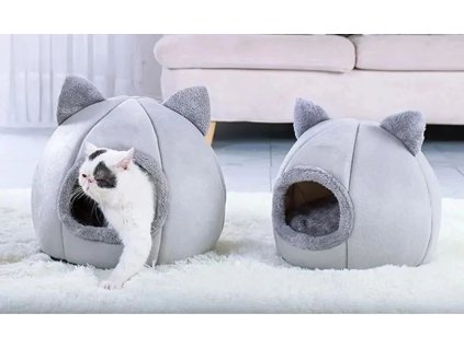 S61ecdd11effe4401beba2782d46a0581B