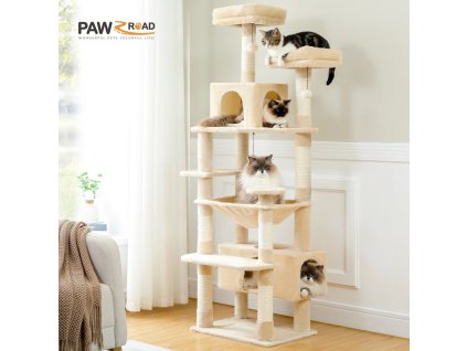 A4e63bc3f18754292ac8818ae83035d0bX