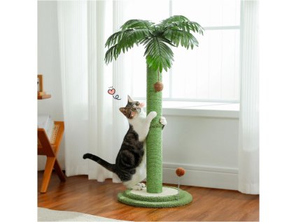 Saecac7206db54f02959ce7b6f621e09a0