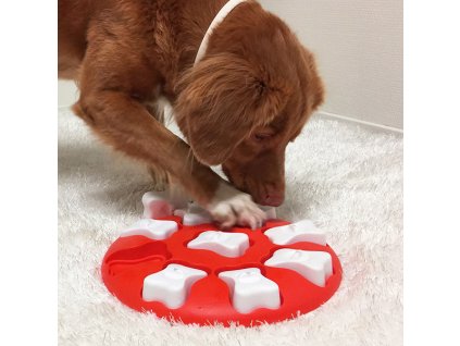 no67331 smart red 2dog