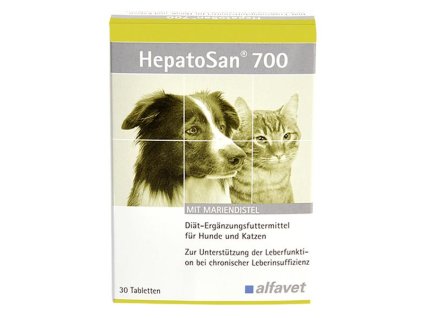 VET03435 1697123911
