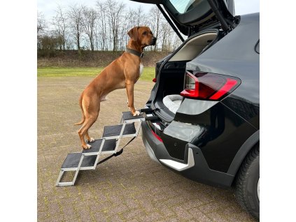 Schody alu Falt-Treppe Nobby