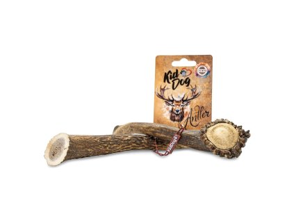 KIDDOG Antler, jelení paroh celý - L