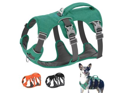 Nylonový postroj pro psy (reflexní) - 3 barvy, 3 velikosti (Barva Černá, Velikost XS)