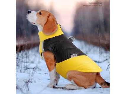 S4653ca0c5cc9442f87d32fe56a7b56d0a