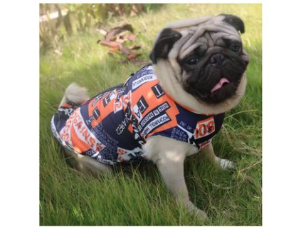 Snímek obrazovky 2025 10 28 093449