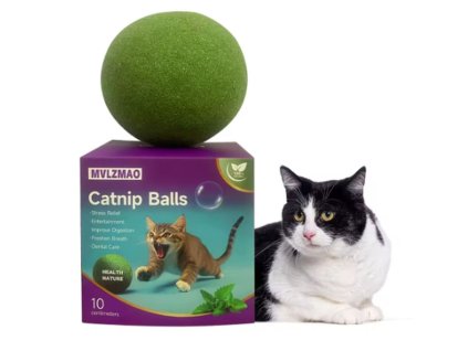 Snímek obrazovky 2025 11 14 102934