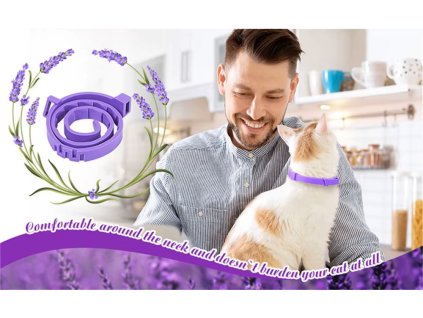 Sc2796797d92d450e95dddec348a996d1F