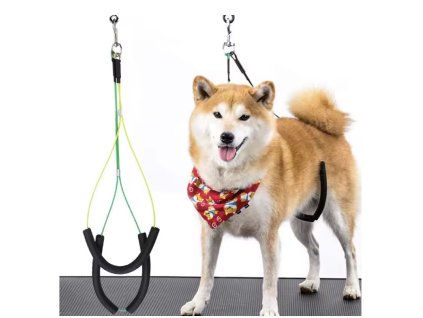 Nastavitelný groomingový popruh pro psy a kočky (2 ks)