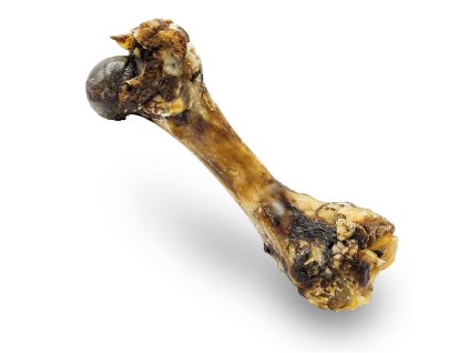Šunková kost přírodní sušená 20 cm / 280 g